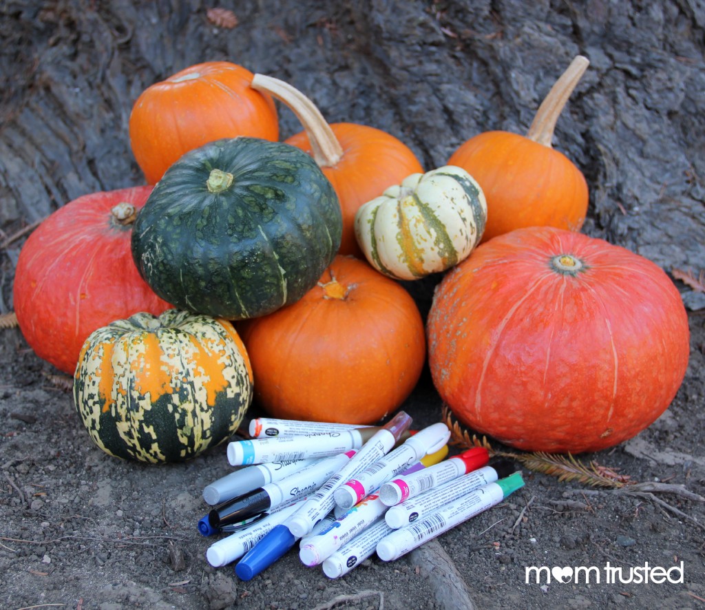 Paint Pen Pumpkins by Mom Trusted 6 wm